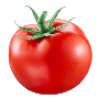 FRESH TOMATOES BOX